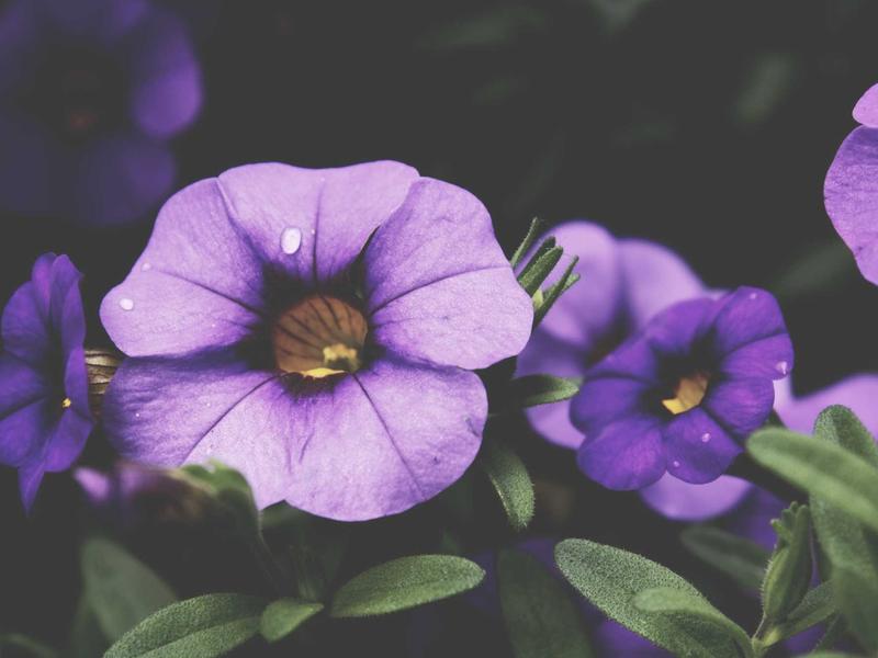 sudoku touch controls screenshot 4